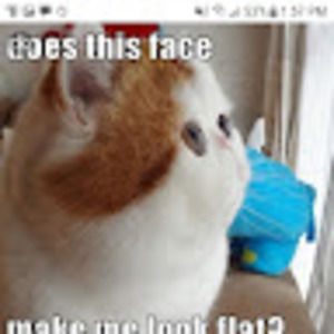 Meet your Posher, Chloe